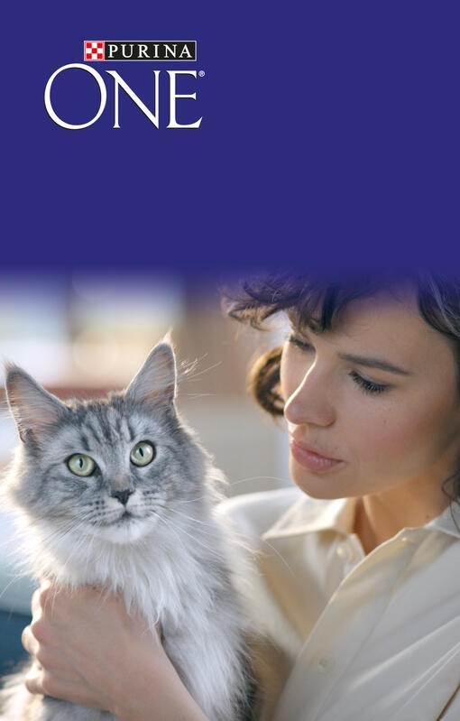 Target purina one cat food cheap